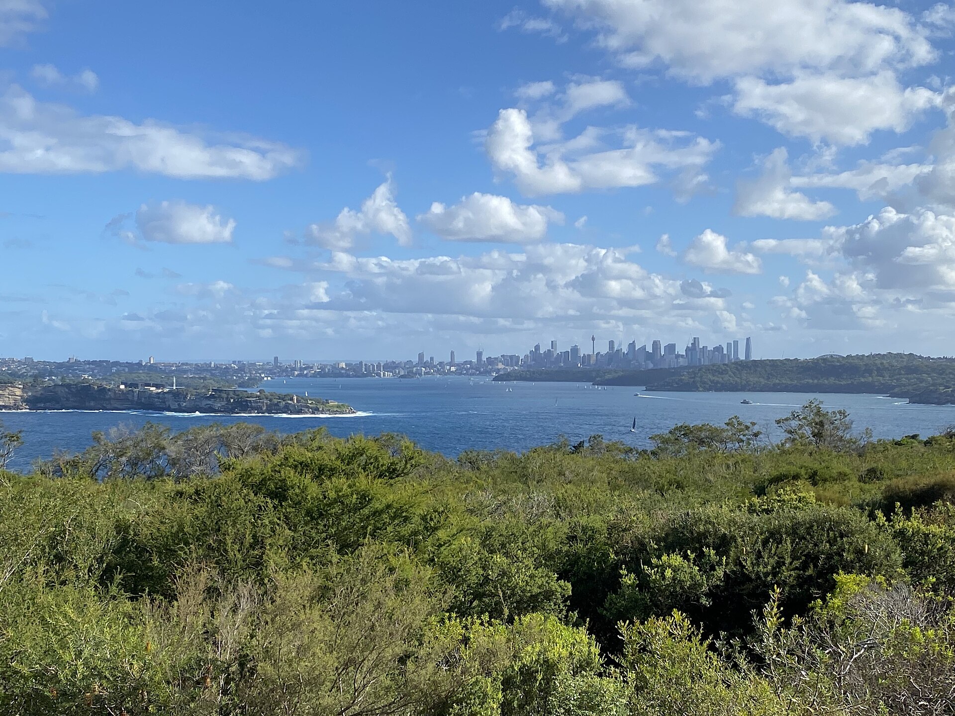 Sydney Officials and Experts Debate Solutions to Housing Affordability Crisis