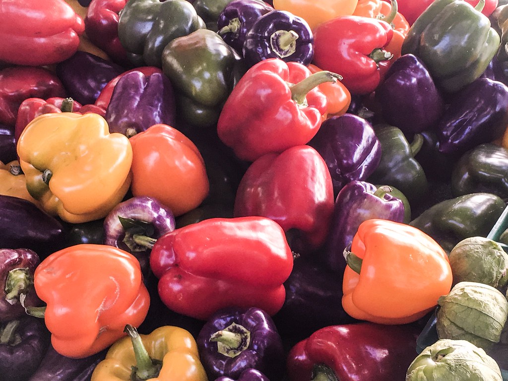 How to eat well on a tight budget: local tips for Sydney